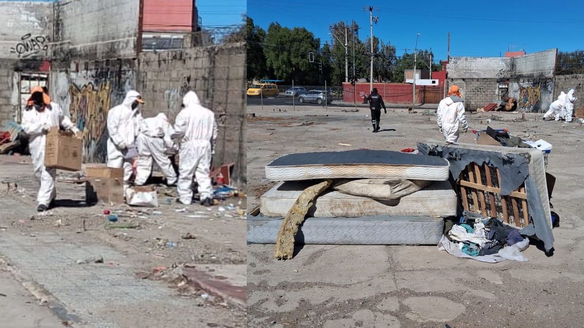 Desmantelan 12 rucos y decomisan 150 kilos de alimentos en Calama
